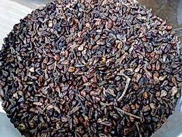 Kara Üzüm Çekirdeği  organik  250 Gram