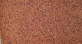 Sarı Hardal  Tohumu İlaçsız  Doğal üründür 100 Gram