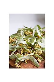 Ihlamur Çayı 1 paket 50 Gram