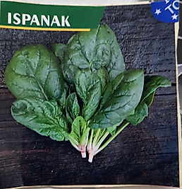 Ispanak (Matador) Tohumu 250 Gramlı  (Dökme Yerli Tohumdur)
