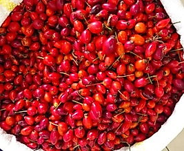 Kuşburnu Tanesi organik taze ürün  500 Gram