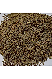 Maydanoz 100 Gram Dökme Yerli Tohumdur