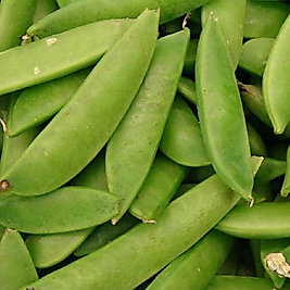 Yaprak Bezelye Tohumu 100 Gram