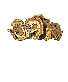 Çakşır Kökü Organik doğal yeni mahsüldür 40 gram